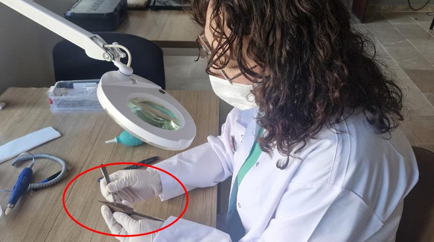 Malazgirt'in 955 yıllık sırrı &ccedil;&ouml;z&uuml;l&uuml;yor! Bizans balista ok u&ccedil;ları ilk kez g&uuml;n y&uuml;z&uuml;ne &ccedil;ıkarıldı