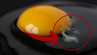 Yumurtayı kırınca &ccedil;ıkan beyaz ipliksi şey aslında ne?
