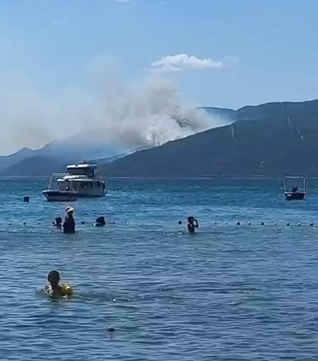 Yalova&rsquo;da orman yangını 4
