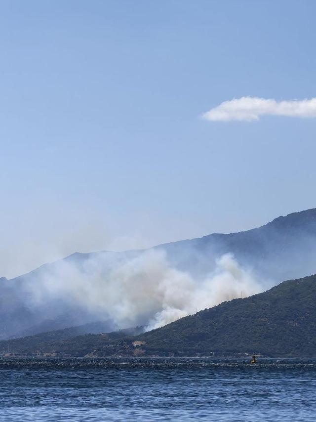 Yalova&rsquo;da orman yangını 3
