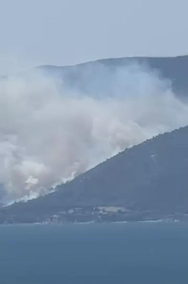 Yalova&rsquo;da orman yangını 1