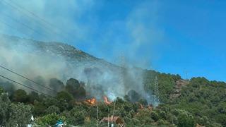 Yalova’da orman yangını