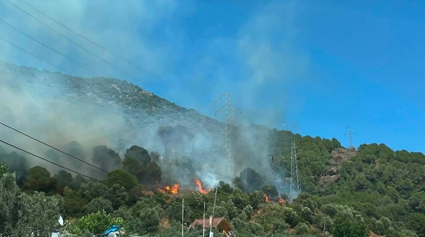 Yalova&rsquo;da orman yangını