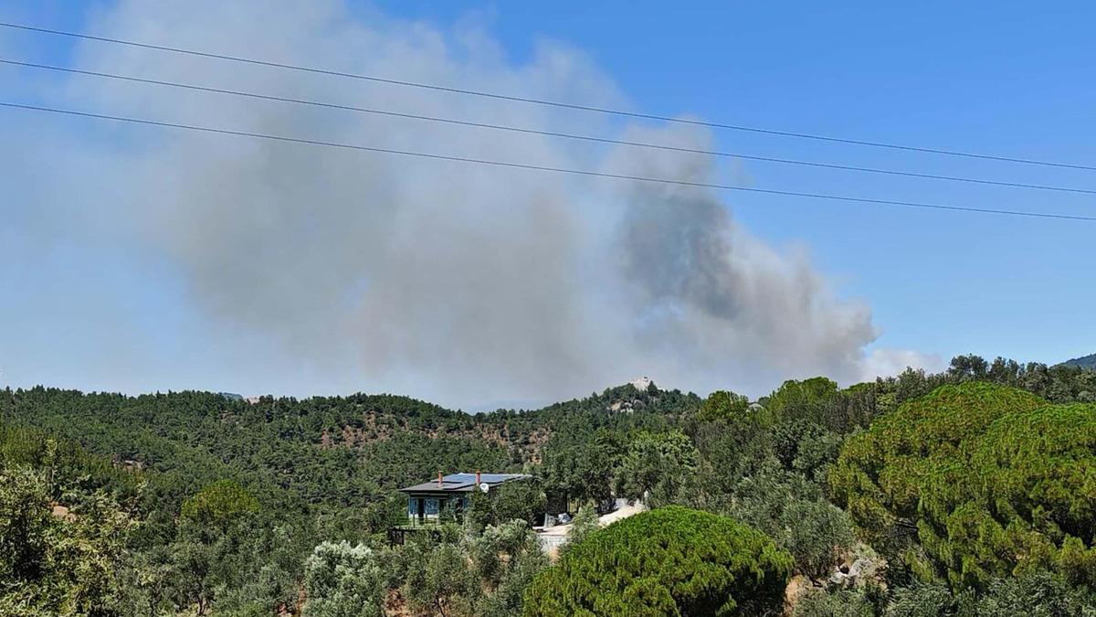 Antalya Kumluca da korkutan yangın! Alevler evlere ulaştı 9