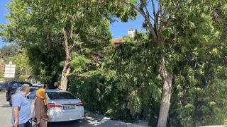 Sivas Valiliği uyarmıştı, rüzgar hasara yol açtı