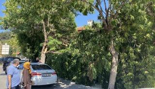 Sivas Valiliği uyarmıştı, r&uuml;zgar hasara yol a&ccedil;tı