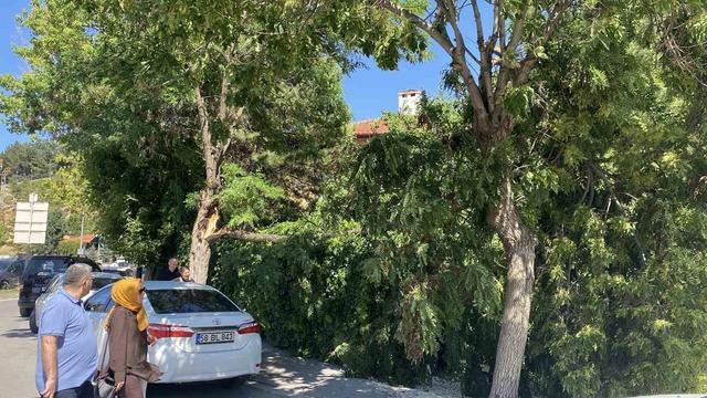 Sivas Valiliği uyarmıştı, rüzgar hasara yol açtı