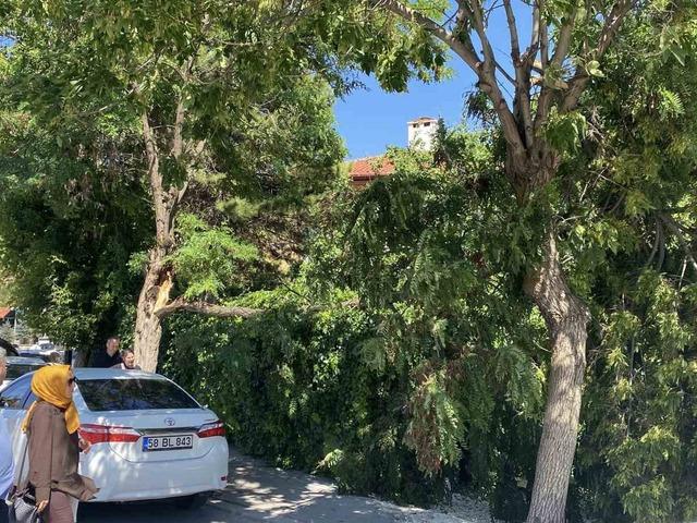 Sivas Valiliği uyarmıştı, rüzgar hasara yol açtı