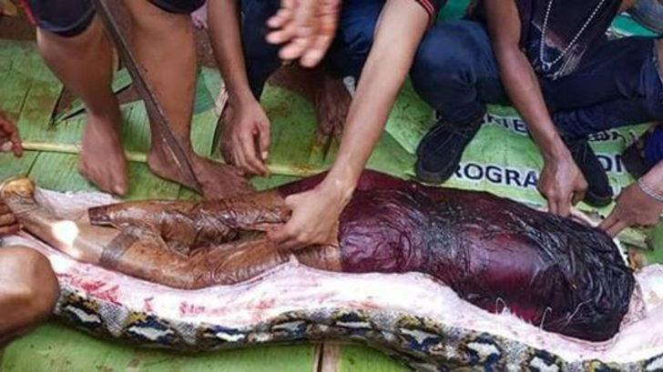 Vahşi timsah hamile eşini diri diri yedi! Yaşadıklarını gözyaşları içinde anlattı G1