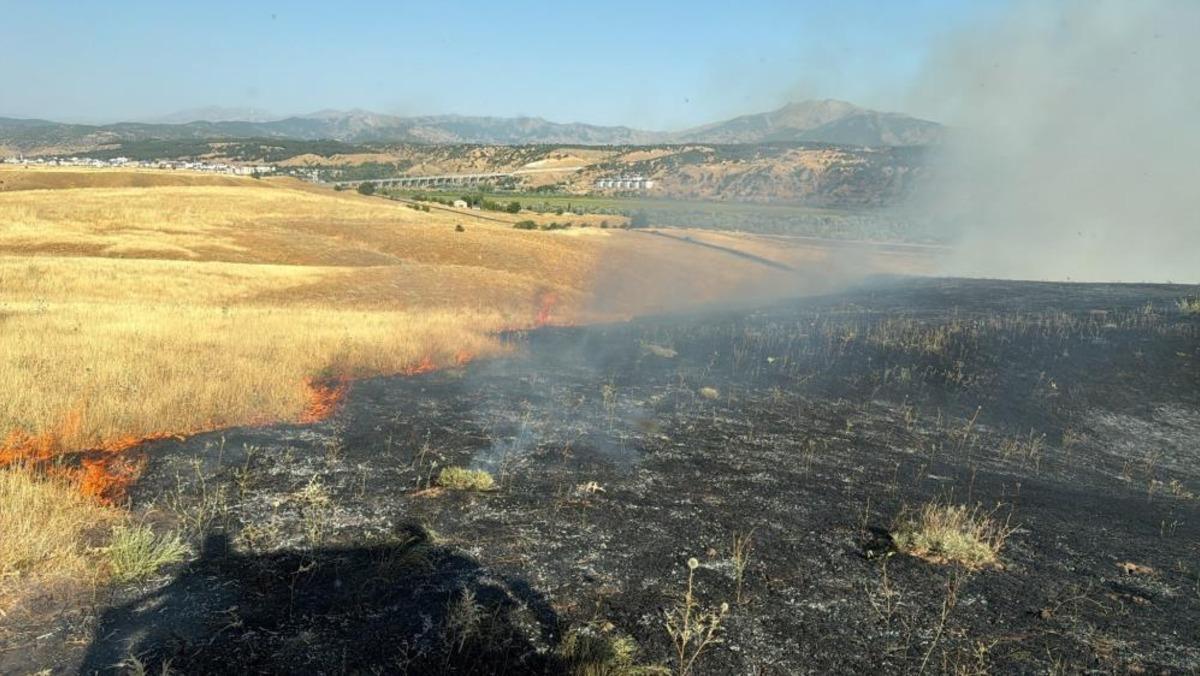 Bingöl’de çıkan arazi yangını söndürüldü 3