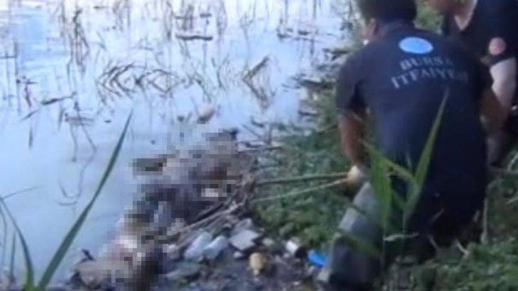 Bursa'da korkunç olay! Balık tutarken oltasına ceset takıldı
