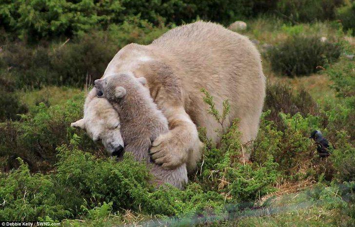 Doğadaki canlıların plastikle mücadelesi G5