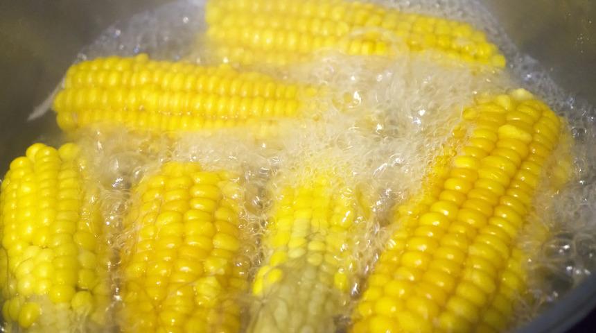 Süt mısır sevenler dikkat! Bu haber sizin için