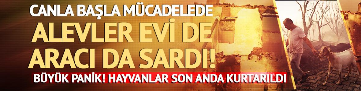 Ev hasar gördü, traktör yandı, hayvanlar son anda kurtarıldı! 