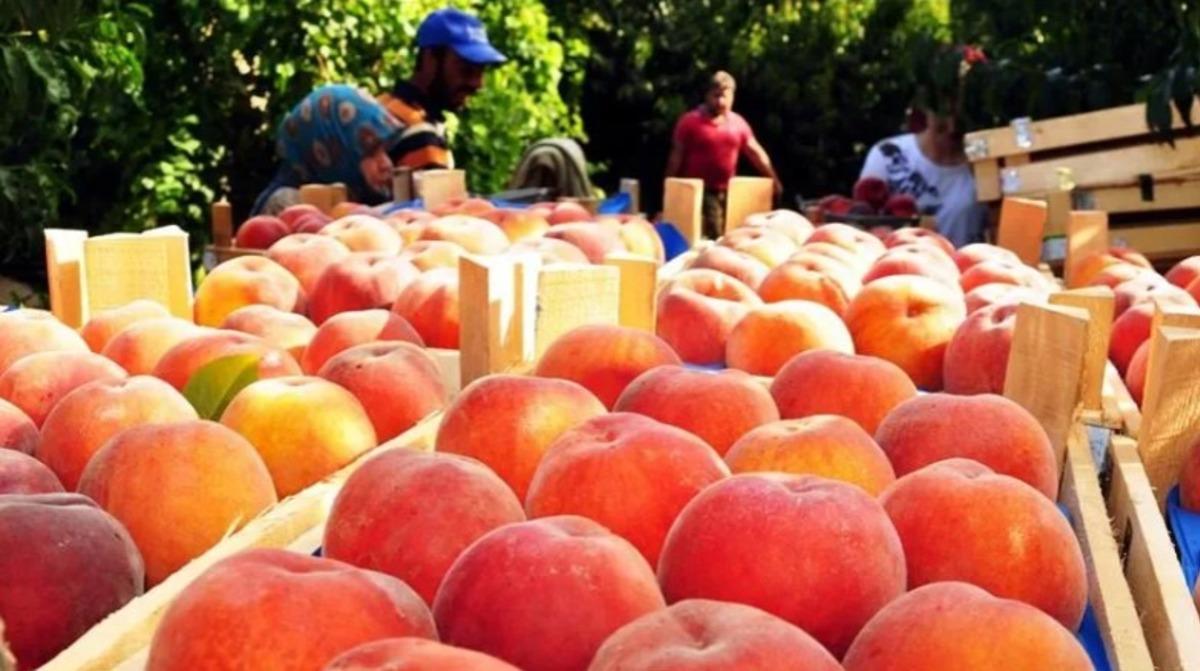20 TL ye mal oluyor ama fiyatı 15 TL  Alımı durdurdu durduracak  1
