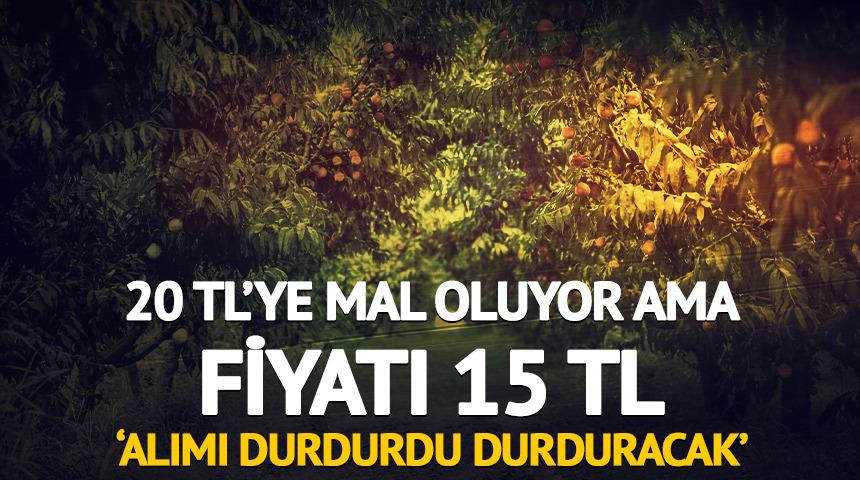 20 TL'ye mal oluyor ama fiyatı 15 TL 'Alımı durdurdu durduracak'