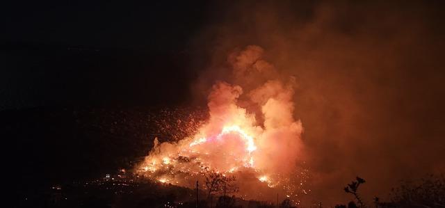 İzmir Dikili de makilikte &ccedil;ıkan yangın kontrol altına alındı 1