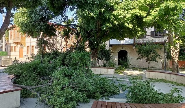 Mersin de kuvvetli rüzgar etkili oluyor 1