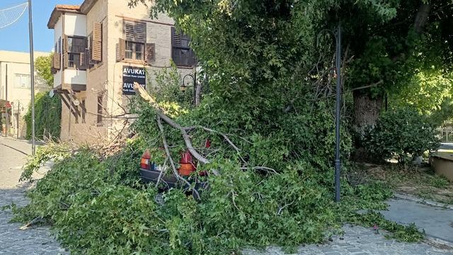 Mersin'de kuvvetli rüzgar etkili oluyor