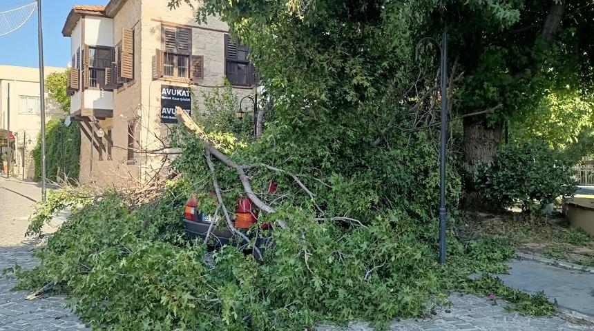 Mersin'de kuvvetli r&uuml;zgar etkili oluyor