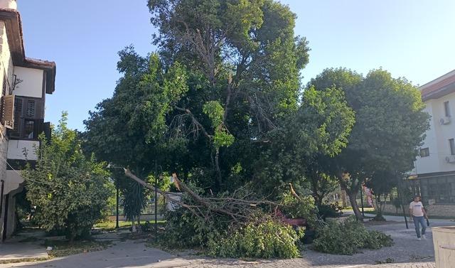 Mersin de kuvvetli rüzgar etkili oluyor 2
