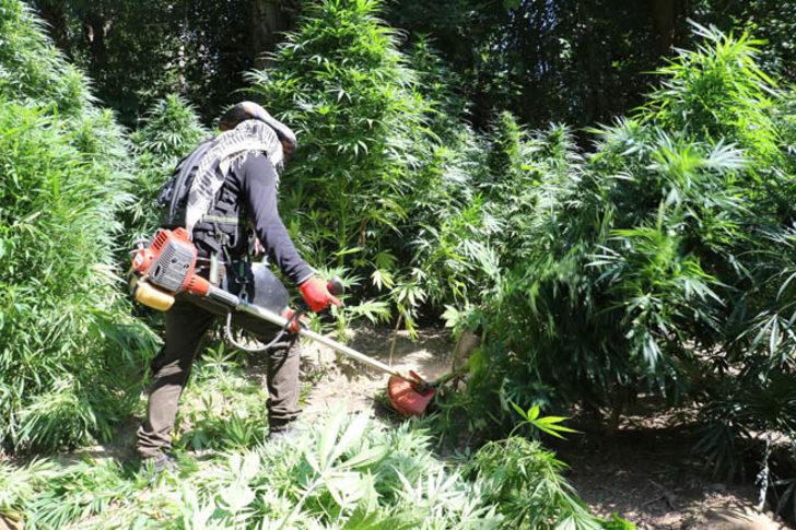 Diyarbakır'da şoke eden görüntü!  G1