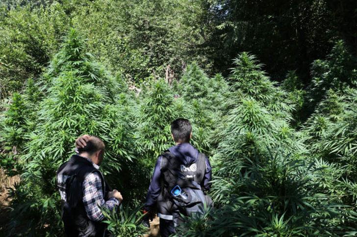 Diyarbakır'da şoke eden görüntü!  G3