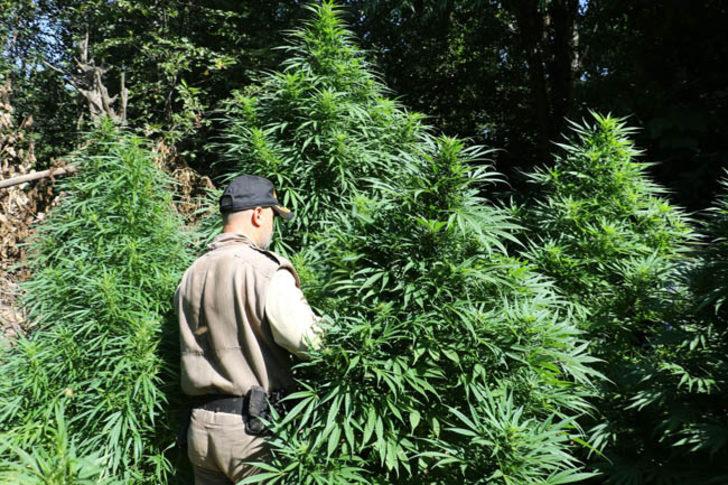 Diyarbakır'da şoke eden görüntü!  G4