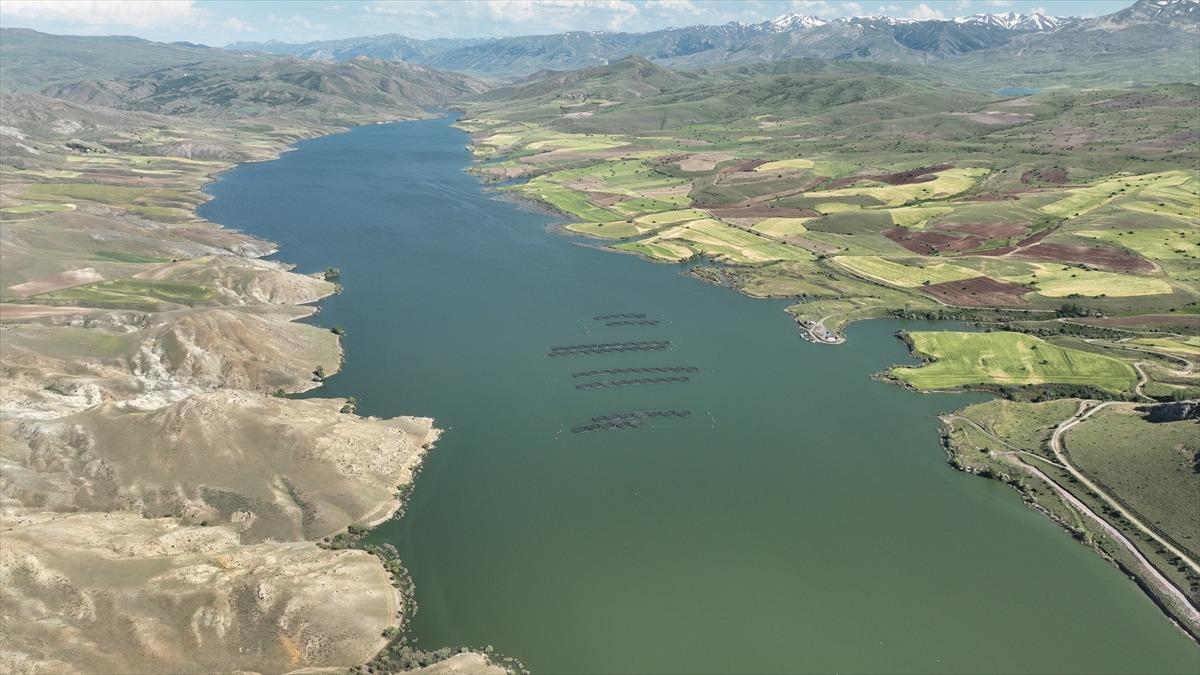 Erzincan da yetiştirilen balık yavruları T&uuml;rk somonu olarak d&uuml;nyaya a&ccedil;ılıyor 1