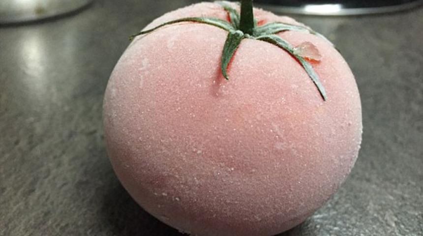 Domates buzluktan çıkınca bakın ne hale geldi!