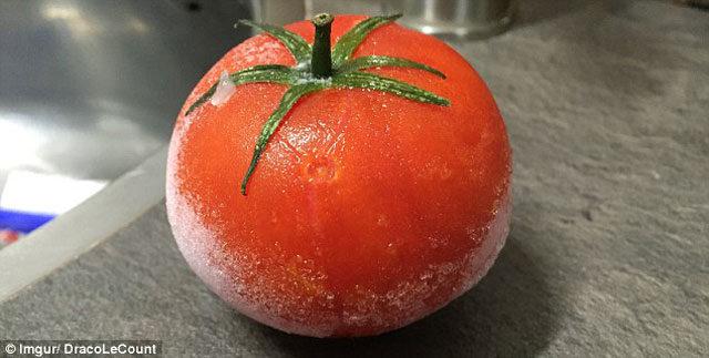 donmus-domates-cozununce-ne-olur--7505835