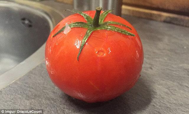 donmus-domates-cozununce-ne-olur--7505836
