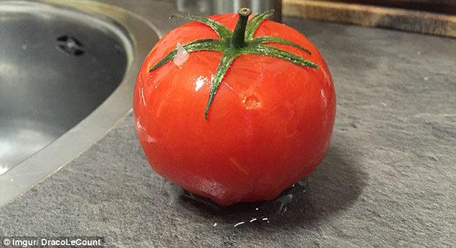 donmus-domates-cozununce-ne-olur--7505837