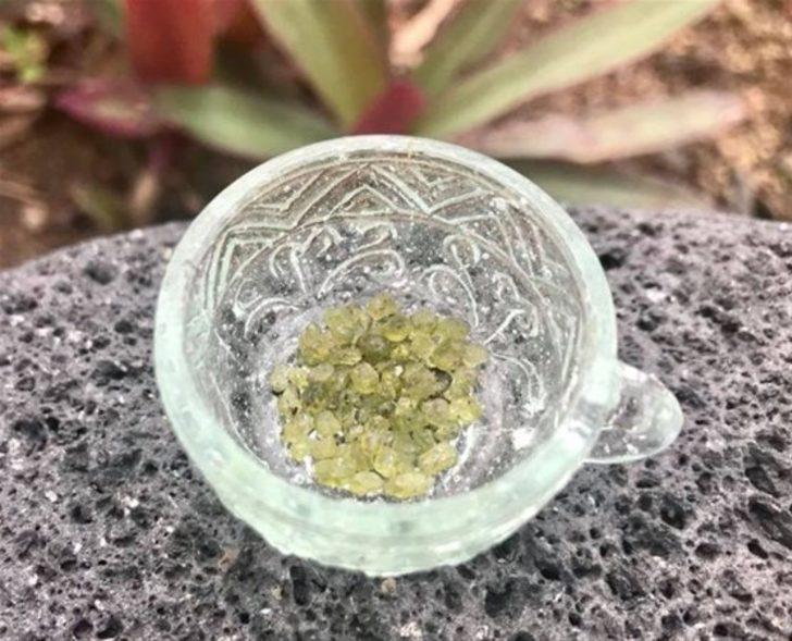 Yerden toplayıp servete kondular  G5