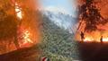 Mu�la ve Alanya'dan sonra Mersin! 80 ev tahliye edildi