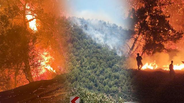 Muğla ve Alanya'dan sonra Mersin! 80 ev tahliye edildi