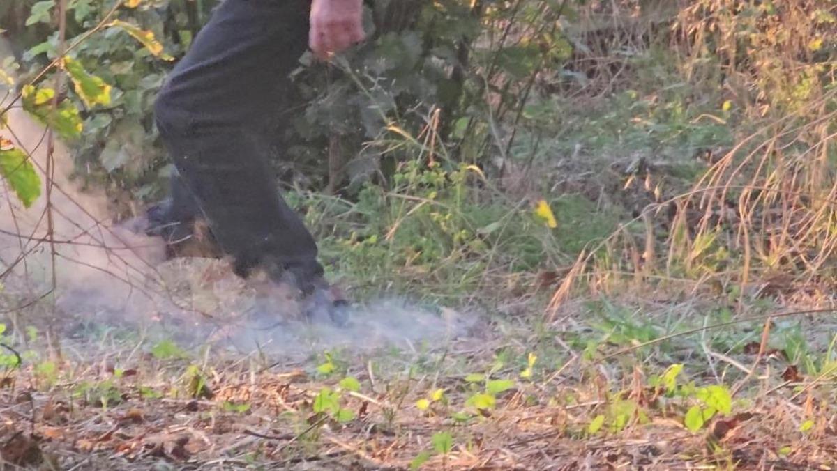 Fındık bah&ccedil;esindeki yangına vatandaşlar ayaklarıyla m&uuml;dahale etti 1