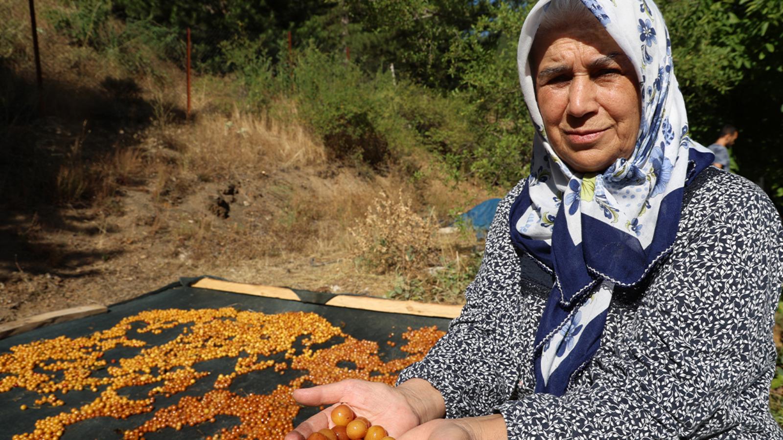 Kilosu 100 TL'den alıcı buluyor! "Satamadıklarımızı çerez haline getiriyoruz"