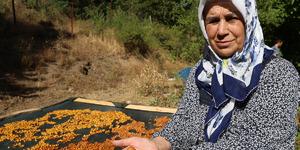 Kilosu 100 TL'den alıcı buluyor! "Satamadıklarımızı &ccedil;erez haline getiriyoruz"