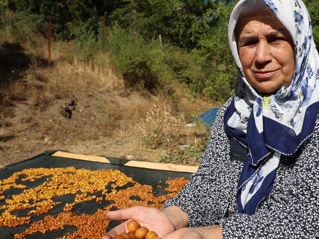 Kilosu 100 TL'den alıcı buluyor! "Satamadıklarımızı &ccedil;erez haline getiriyoruz"