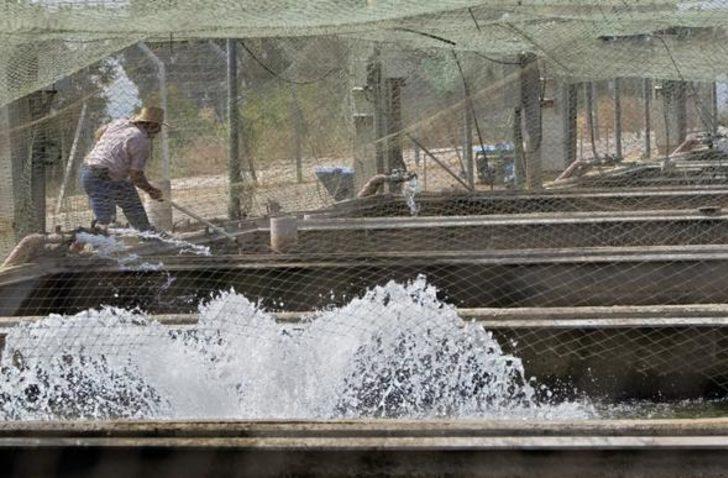 Kilosu 5 bin eurodan satılıyor! Dünyanın en pahalısı G3