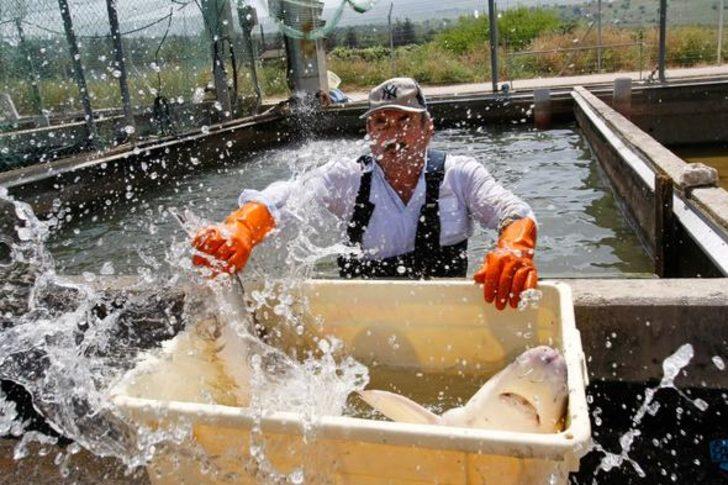 Kilosu 5 bin eurodan satılıyor! Dünyanın en pahalısı G5