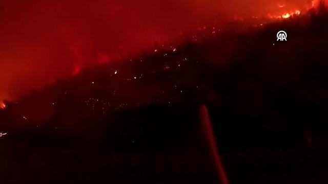 Aydın'da Orman Yangınına Müdahale Sürüyor