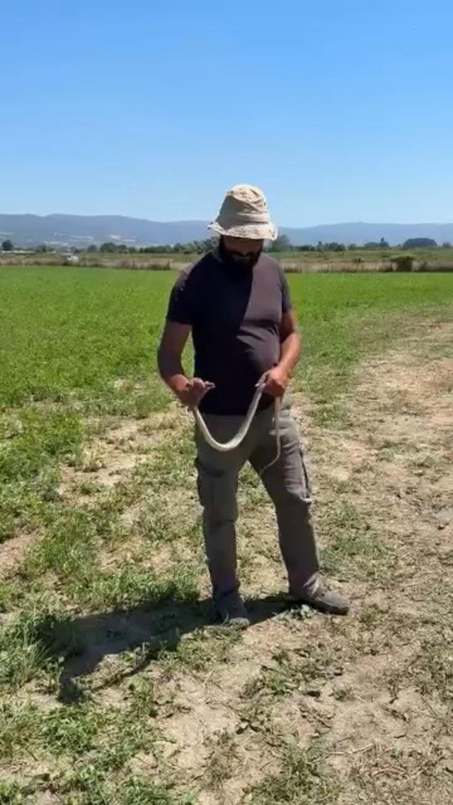 Bursa&rsquo;da &ccedil;ift&ccedil;inin cesareti herkesi korkuttu 2