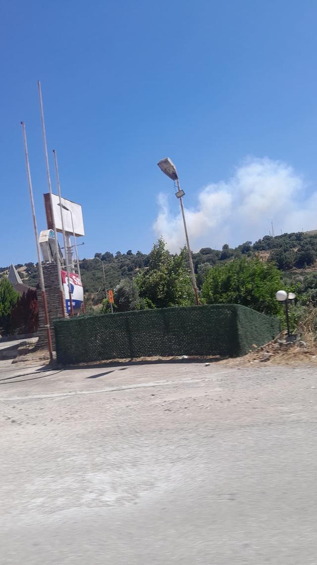 Balıkesir Susurluk&rsquo;ta orman yangını 9