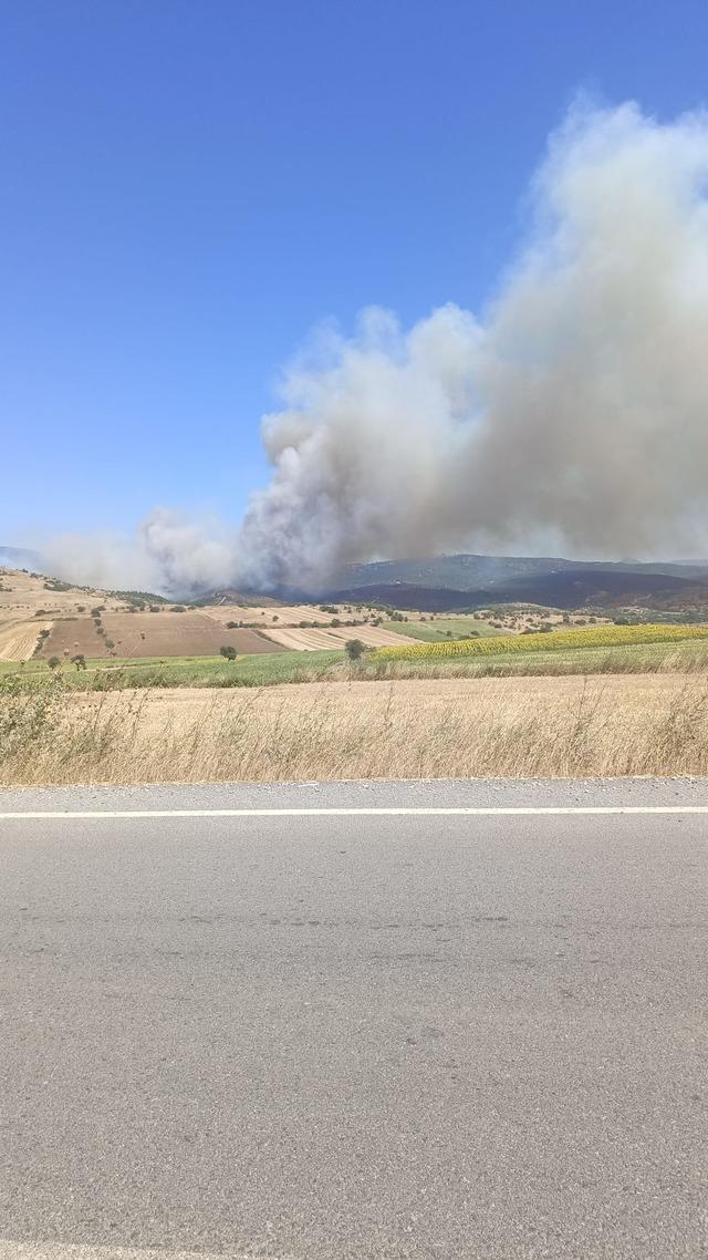 Balıkesir Susurluk&rsquo;ta orman yangını 8
