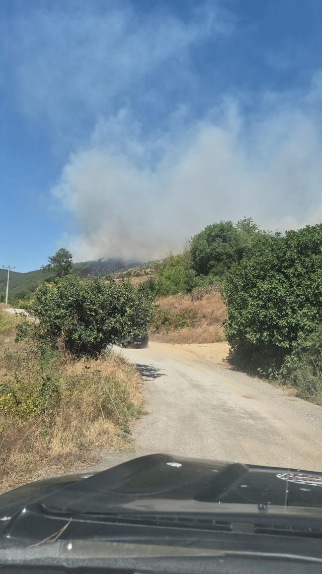 Balıkesir Susurluk&rsquo;ta orman yangını 7
