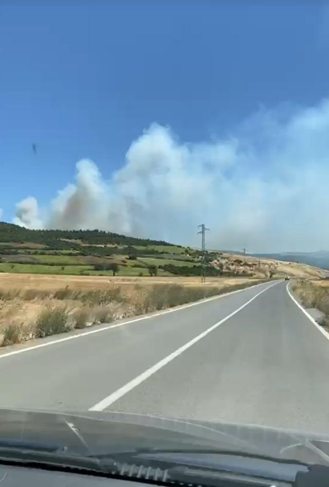 Balıkesir Susurluk&rsquo;ta orman yangını 5