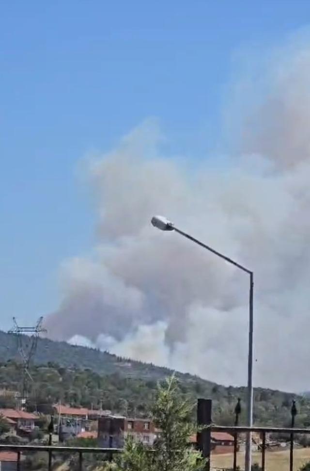 Balıkesir Susurluk&rsquo;ta orman yangını 4