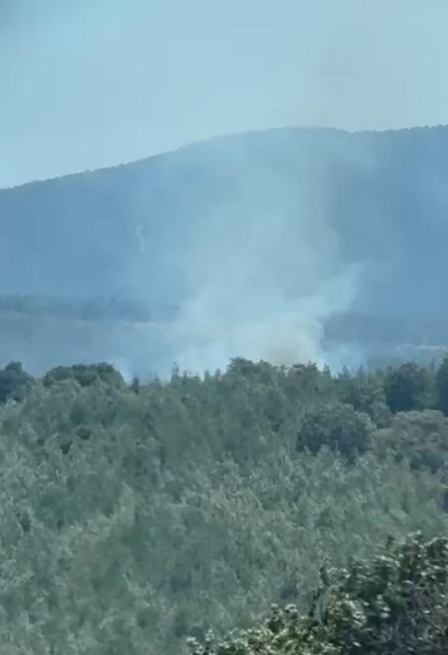 Balıkesir Susurluk&rsquo;ta orman yangını 2